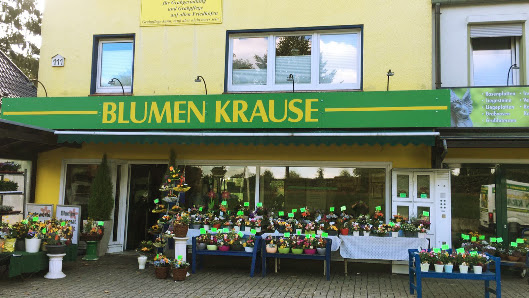 Blumenhaus Krause