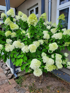 J&E Blumen Gevelsberg