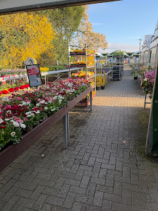 Garten-Shop - Hephata