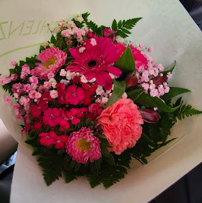Blumen Schlenz