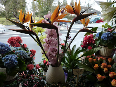 BLUMEN - PETRY