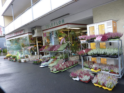 BLUMEN - PETRY