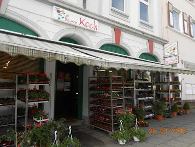 Blumen Koch