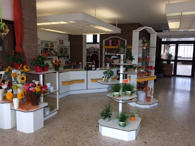 Blumen Brinkkötter