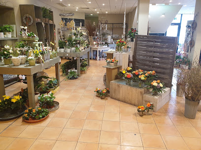 Wittemöller Blumen