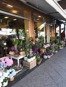 Liti blumen