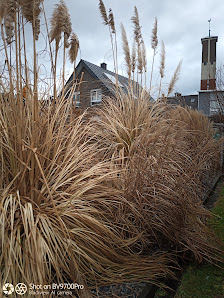 Garten und Landschaftsbau Quelle Bielefeld