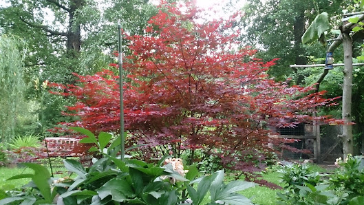 Garten und Landschaftsbau Quelle Bielefeld