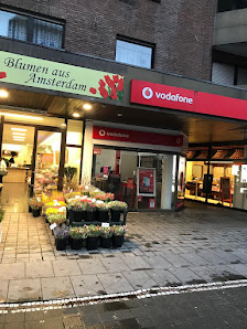 Blumen aus Amsterdam