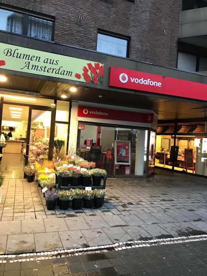 Blumen aus Amsterdam