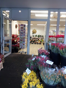 Blumen aus Amsterdam