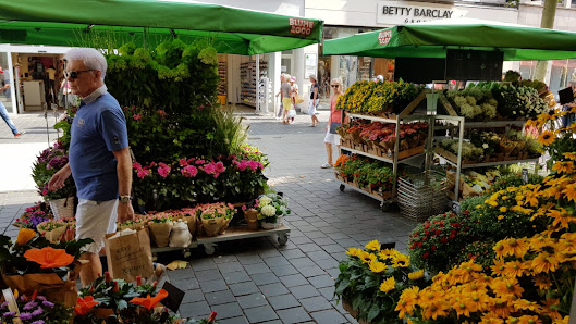 BLUME2000 Bielefeld