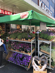 BLUME2000 Bielefeld