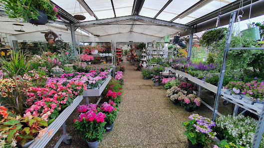 Blumenhof Gerhard Borgstedt GmbH & Co. KG