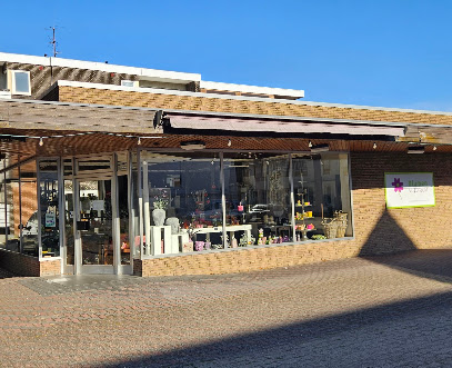 Steinhagen