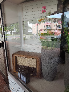 Blumen und mehr