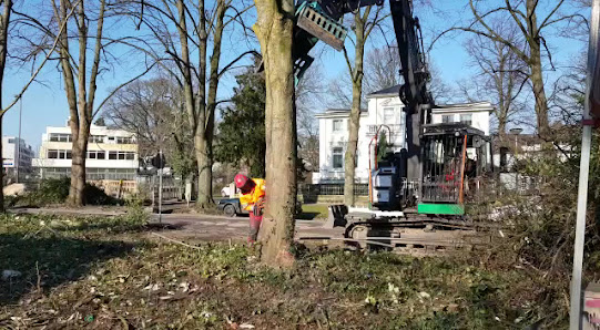Baum & Garten Wächter