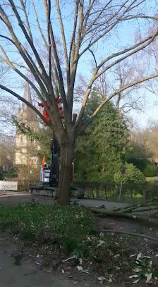 Baum & Garten Wächter