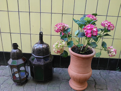 Garten Edel