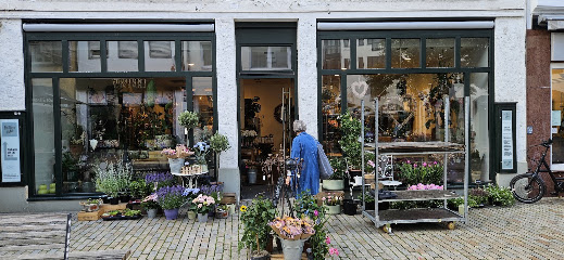 Blumen Interfleur Bielefeld
