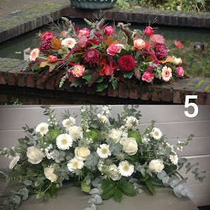 Botanica Blumen Studio