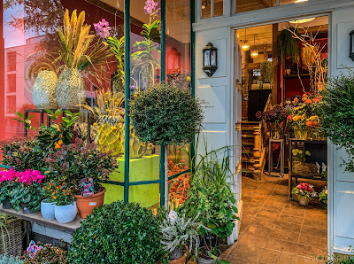 Wintergarten Südstadt Florist