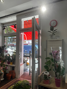 MADAME BOHO @BENTA Blumen