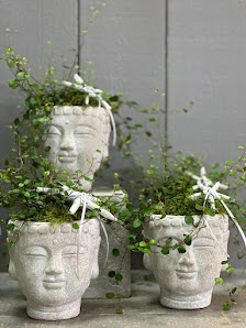 Blumenland Anja van Setten