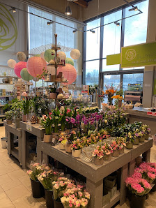 Blumenland Anja van Setten