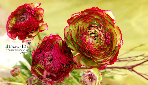 Blüten-Stiel Floristik Fachgeschäft