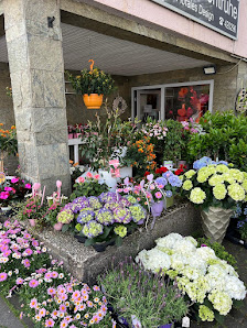 Blumentruhe Inh.V. Viering