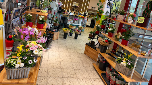 Blumen Mariella – Bad Godesberg Flowers