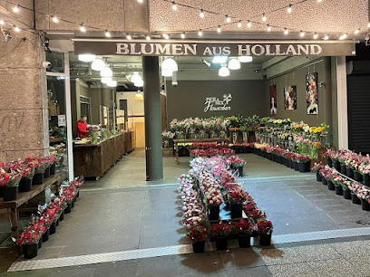 Blumen aus Holland