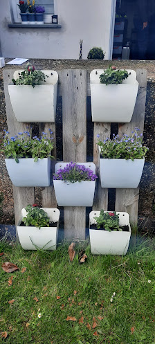 Axel Volberg Blumen