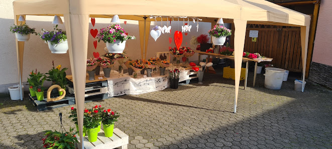 Blumen Mandt, Vorbestellung erforderlich.