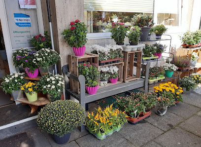 Blumen Hamann