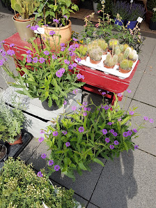 Ließem Blumen & Kunstgewerbe