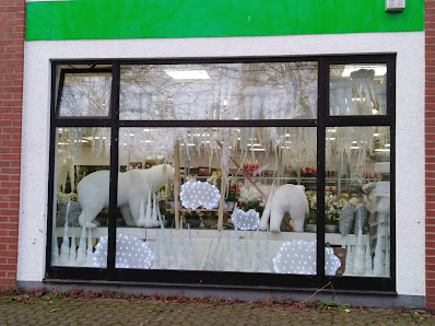 DIE GRÜNE HALLE - Heimerzheim
