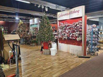 Pflanzen-Kölle Gartencenter GmbH & Co. KG Berlin - Dallgow-Döberitz
