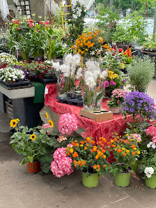 Blumen/Gärtnerei Greve