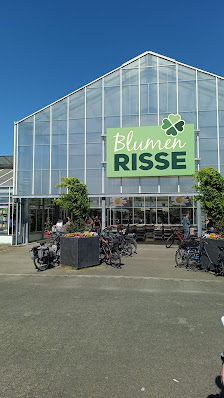 Blumen Risse Gartencenter Münster