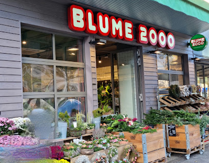 BLUME2000 Berlin Schloßstraße