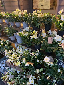 BLUME2000 Berlin Schloßstraße