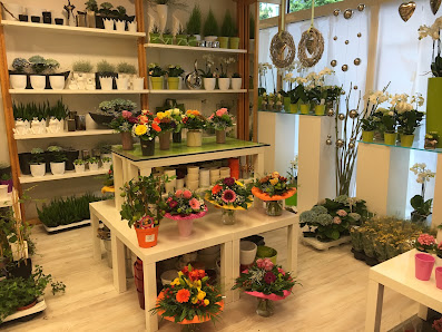 Blumen Bellmann