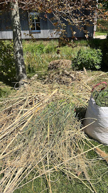 Garten & landschaftsbau