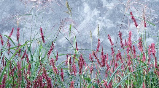 Detlef Overs - Overs Grünentwicklung - Gartengestaltung - Gartenbau - Gartenpflege Münster