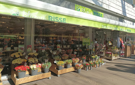 Blumen Risse Blumenladen Münster-Hiltrup