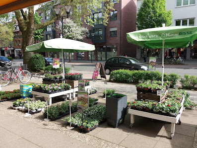 Blumen Risse Blumenladen Münster-Hiltrup