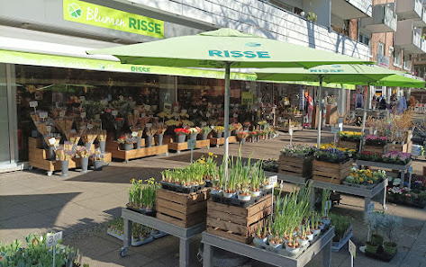 Blumen Risse Blumenladen Münster-Hiltrup