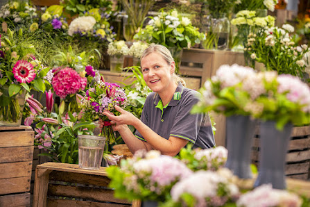 Blumen Risse Blumenladen Münster-Mauritz